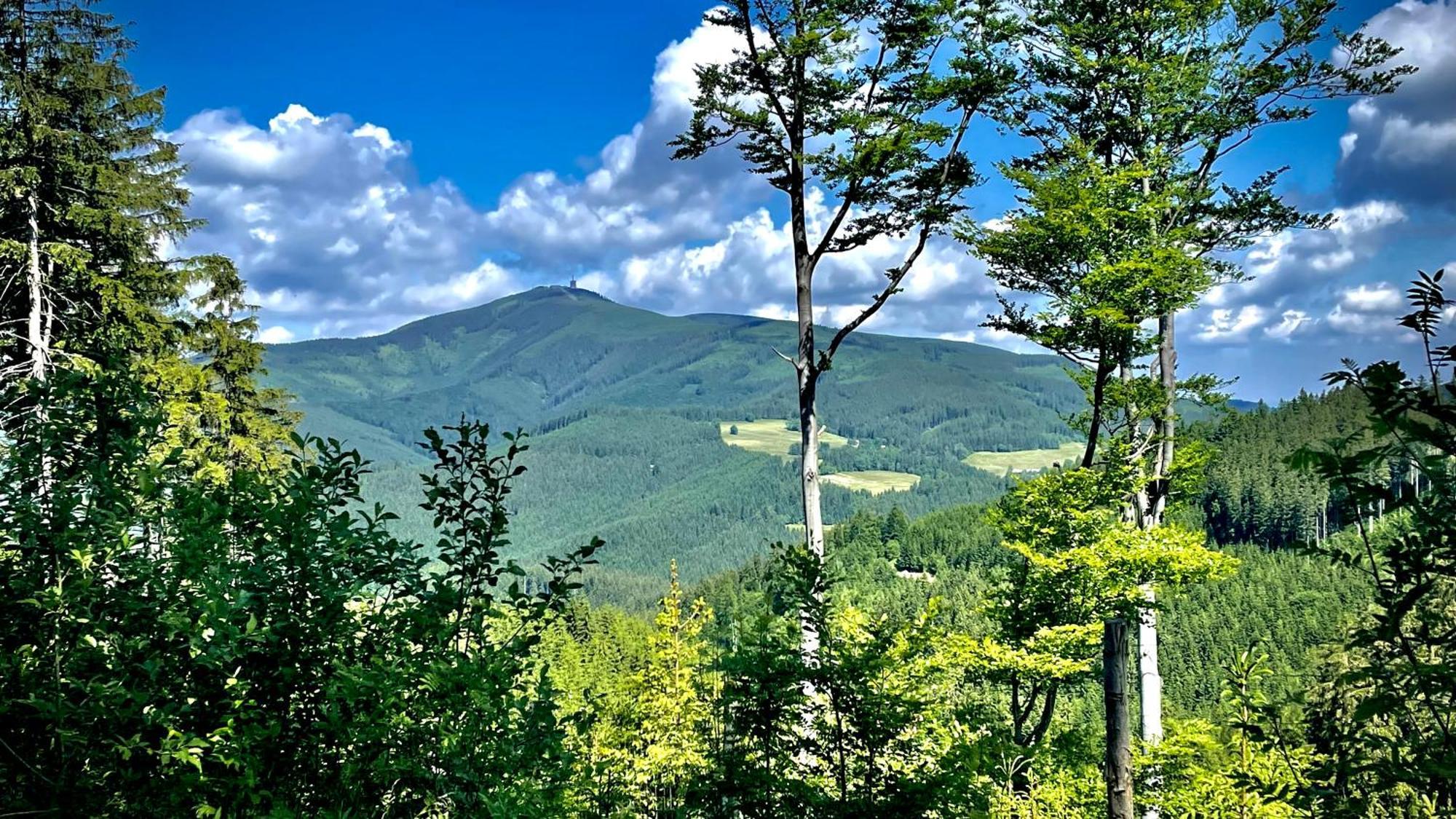 Apartman V Beskydech Staré Hamry Buitenkant foto
