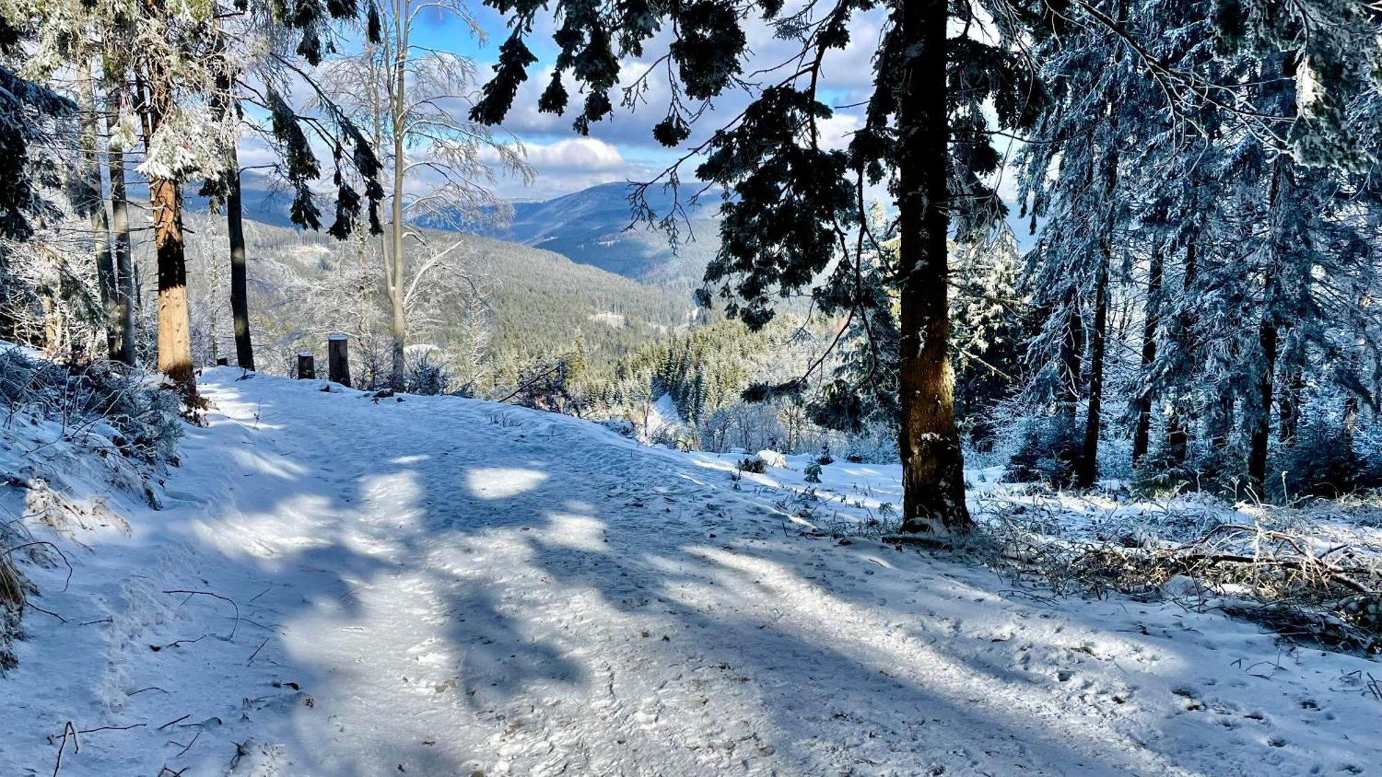 Apartman V Beskydech Staré Hamry Buitenkant foto